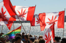 Hemp Canada Legalization Bill C-45