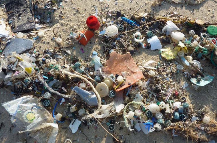 Reclaimed Ocean Plastic Hemp