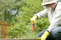 Hemp Pesticides EPA